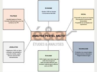 Analyse PESTEL, facteurs environnementaux - société de VOD Salto
