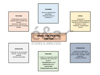 Analyse PESTEL TikTok en 2025