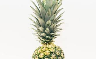 La stratégie de communication d'Oasis