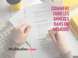 Comment faire les Annexes dans un mémoire ? - Astuces