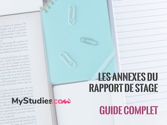 Les annexes dans un rapport de stage : définition, comment les faire et bien organiser ? 