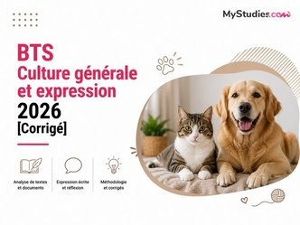 BTS Culture générale et expression 2026 [Corrigé]