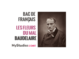 [Bac de français] - Fiche de lecture : Les Fleurs du Mal de Baudelaire