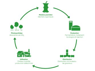 Energie : le biogaz comparé aux autres sources d'énergie