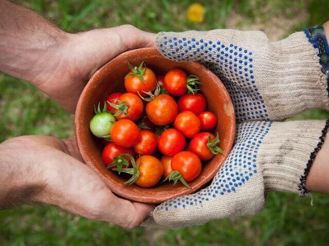 Étude de cas marketing - La Ruche qui dit Oui !