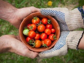 Étude de cas marketing - La Ruche qui dit Oui !