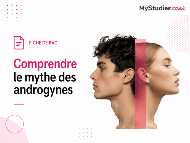 Fiche de bac - Comprendre le mythe des androgynes