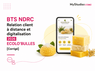 BTS NDRC Relation client à distance et digitalisation 2026 - ECOLO'BULLES [Corrigé]