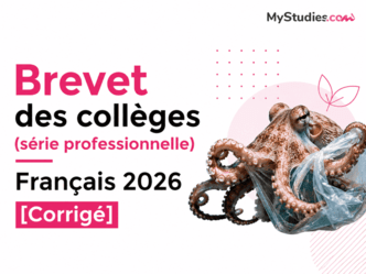 Brevet des collèges (série professionnelle) Français 2026 [Corrigé]