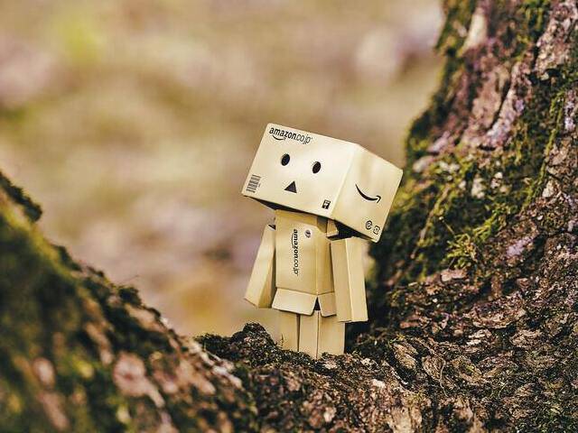 Les Forces de Porter : Amazon