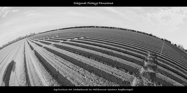 Comprendre la crise de l'élevage : les raisons de la colère des éleveurs et les mesures du gouvernement