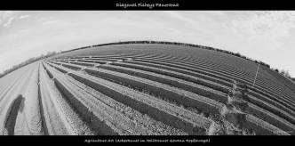 Comprendre la crise de l'élevage : les raisons de la colère des éleveurs et les mesures du gouvernement