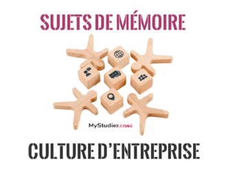 5 sujets de mémoire sur la culture d'entreprise