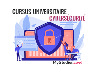 Quel cursus choisir pour travailler dans la cybersécurité ?