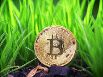 Sujets de mémoire sur les cryptomonnaies et les enjeux écologiques