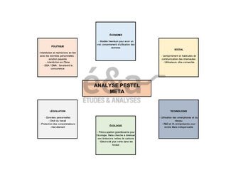 Analyse PESTEL de Meta