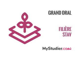 Grand oral filière STAV