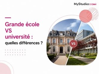 Grande école VS université : quelles différences ?