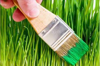 Le greenwashing des marques et des entreprises : trop de vert ?