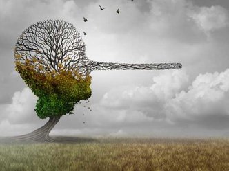 Sujets de mémoire sur le greenwashing - focus sur la transition énergétique