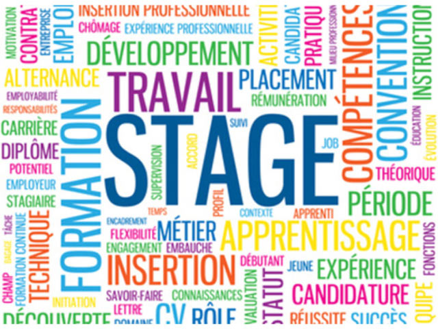 Guide pratique du stage pour les entreprises : recrutement