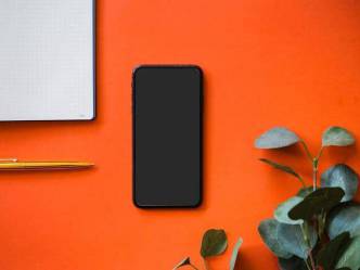 Mémoire en management des risques