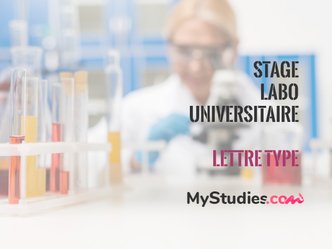 Guide pratique : lettre type pour un stage en laboratoire universitaire