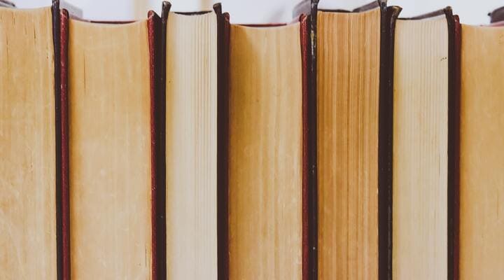 Bel Ami, Maupassant - Résumé par chapitre