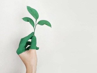 Mémoire sur le green marketing