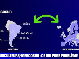 Conflit agriculteurs vs gouvernement concernant le Mercosur - explication