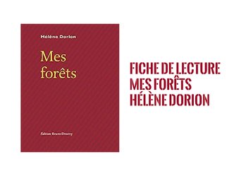 Mes forêts de Hélène Dorion - bac de français