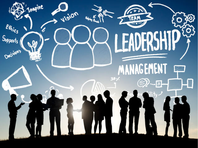 Formations et métiers du management