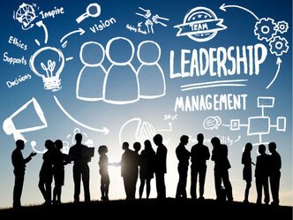 Formations et métiers du management