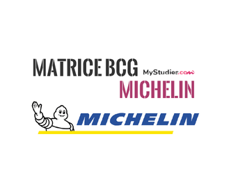 Matrice BCG - Michelin