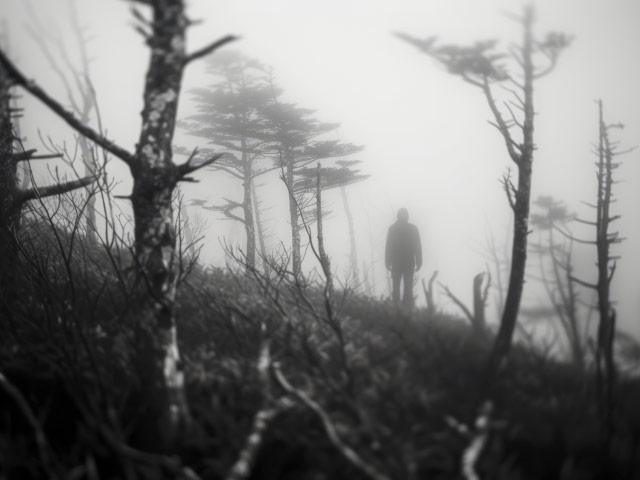 Bac philo 2024 filière technologique : La nature est-elle hostile à l'homme ?