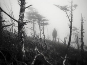 Bac philo 2024 filière technologique : La nature est-elle hostile à l'homme ?