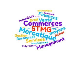 Le bac STMG (sciences et technologies du management et de la gestion)