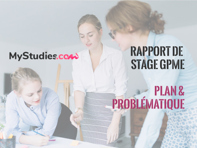 Exemple de problématique et plan détaillé pour un rapport de stage BTS GPME