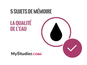 5 problématiques de mémoire sur la qualité de l'eau