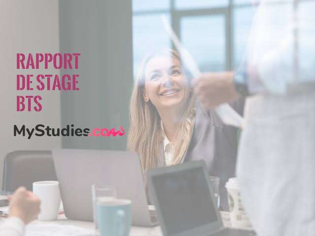 Le sommaire de rapport de stage - conseils, exemples pour un stage de BTS