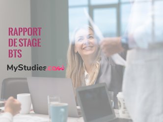 Le sommaire de rapport de stage - conseils, exemples pour un stage de BTS
