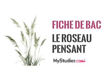 Fiche de Bac - Comprendre la métaphore du roseau pensant de Blaise Pascal