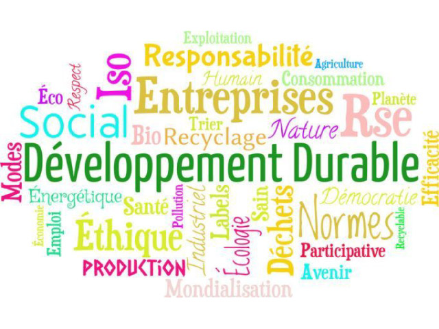 Exemple de sujets et de problématiques pour un mémoire sur le RSE