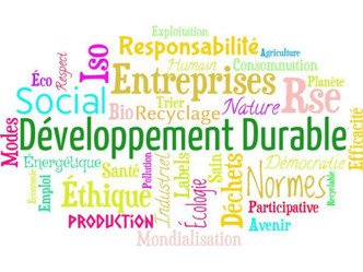 Exemple de sujets et de problématiques pour un mémoire sur le RSE