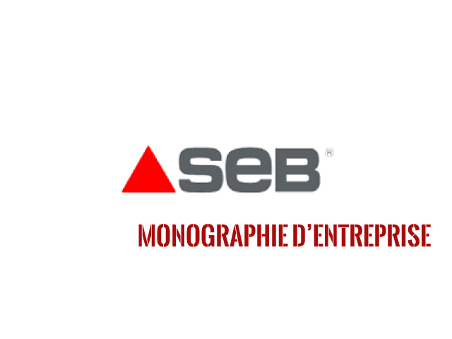 Analyse stratégique Seb : monographie du groupe