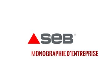 Analyse stratégique Seb : monographie du groupe