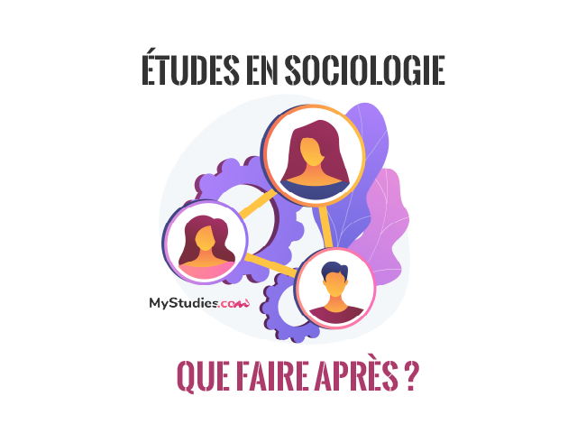 Que faire après des études en sociologie ?