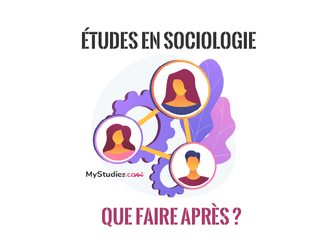 Que faire après des études en sociologie ?