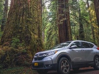 Analyse PESTEL - Honda