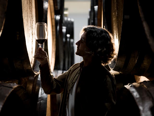 Global market study of the wine sector